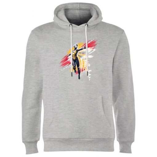 Sweat à Capuche Homme Ant-Man et la guêpe - Gris - M - Gris chez Zavvi FR image 5059478183680