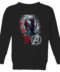 Sweat-shirt Avengers Endgame Ant Man Brushed - Enfant - Noir - 11-12 ans - Noir chez Zavvi FR image 5059478973205